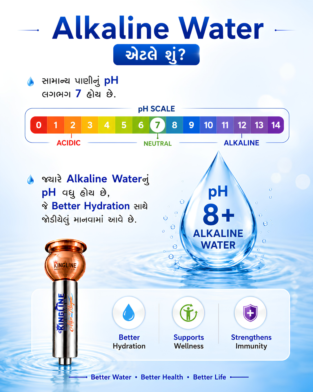 Alka Magna Image 3